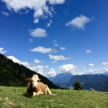 Mit dem Campingbus durch Teneriffa