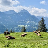 Mit dem Campingbus durch Teneriffa