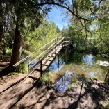 Mit dem Campingbus durch Teneriffa