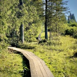 Mit dem Campingbus durch Teneriffa