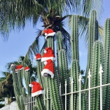 Mit dem Campingbus durch Teneriffa